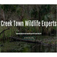 Creek Town Wildlife Experts in Laurel, DE Animal Adoption