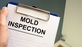 Sea View Mold Inspection in Hollywood, FL Lumber Inspectors