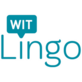 Witlingo in McLean, VA Internet - Voice Application