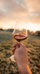Artisan Excursion Wine Tours in Solvang, CA Adventure Travel