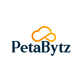 Petabytz Technologies in Edison, NJ Information Technology Services