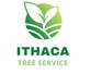 Ithaca Tree Service in Ithaca, NY Tree Service