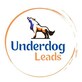 Underdog Leads in Helotes, TX Advertising Marketing Boards