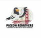 Pigeon Removers in Inner Sunset - San Francisco, CA Green - Pest Control