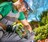 Sprinkler Repair of Allen in Allen, TX