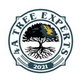 4a Tree Experts in Huntsville, TX Tree Services