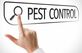 Young Lion City Pest Control in Mayor's Heights - Rochester, NY Disinfecting & Pest Control Services
