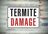 Cement Capital Termite Removal Experts in Midlothian, TX