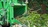 Green Hill Tree Service in Porterville, CA