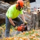 Blue River Tree Service in Livingston, NJ Tree Service Equipment