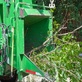 Athens of America Tree Service in Annapolis, MD Tree Service Equipment