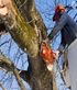 Titletown Tree Service in Green Bay, WI Tree Service Equipment