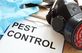 Centennial Termite Solutions in Centennial, CO Pest Control Services
