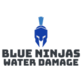 Blue Ninjas Water Damage Restoration Roswell in Roswell, GA Fire & Water Damage Restoration