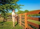 Hampton Fencing in Mercury Central - Hampton, VA Fence Contractors