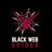 Black Web Spider - Web Design Agency in Southeast - Houston, TX 77075 Web Site Design