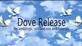 Laramie Lofts Dove Releases in Peoria, IL Funeral & Burial Equipment & Supplies Manufacturers