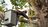 City of Palms Tree Services in Fort Myers, FL 33912 Tree Service