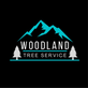 Woodland Tree Service in Woodland Park, CO Tree Service