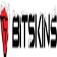 Bitskins in Gramercy - New York, NY