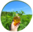 Cali CBD Farm in Los Angeles, CA