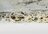Pickletown Mold Removal in Littleton, CO