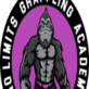 No Limits Grappling Academy in Blakely, PA