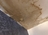 Museum City Water Damage Experts in Bowie, MD