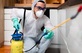 Cozy Parkland Termite Experts in Rockville, MD Pest Control Services