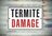 Popcorn Park Termite Removal Experts in Forked River, NJ