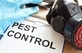 Flower City Termite Experts in Springfield, IL Pest Control Services