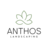 Anthos Landscaping in Mount Holly, NJ