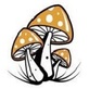 Buy Psychedelics Online in Golden Triangle - Denver, CO