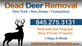 Dead Deer Removal in Suffern, NY Deer Control