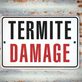 Lilac City Termite Removal Experts in Spokane, WA