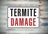 The Big Apple Termite Removal Experts in New York, NY