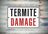 Rose City Termite Removal Experts in Lloyd - Portland, OR
