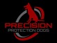 Precision Protection Dogs in Leander, TX Security Guard & Patrol Dogs