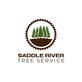 Saddle River Tree Service in Airmont, NY Tree Service