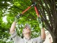 Tree Solutions in Gonzales, TX Tree Services