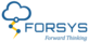 Forsys Inc in Milpitas, CA Information Technology Services