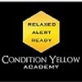 Condition Yellow Academy in Arlington Heights, IL Gunsmith Services