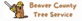 Beaver County Tree Service in Rochester, PA Tree Service