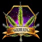 Green Gold Healing in Dover, FL Health & Medical