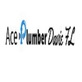 Ace Plumber Davie FL in Davie, FL Plumbers - Information & Referral Services