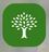 Shreveport Tree Service & Removal in Sunset Arcre-Garden Valley-Morningside - Shreveport, LA 71108 Tree Consultants