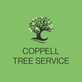 Coppell Tree Service in Coppell, TX Lawn & Tree Service
