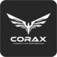 Corax Strength and Performance in Murfreesboro, TN Fitness Centers