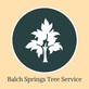Balch Springs Tree Service in Balch Springs, TX