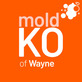 Mold Ko of Wayne in Wayne, NJ Green - Mold & Mildew Services